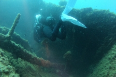 WhatsApp-Image-2023-08-17-at-20.15.58