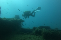 WhatsApp-Image-2023-08-17-at-20.16.00-1