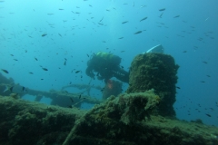 WhatsApp-Image-2023-08-17-at-20.16.01-1