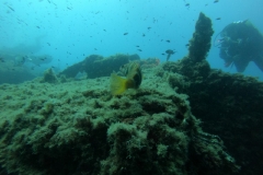 WhatsApp-Image-2023-08-17-at-20.16.01-2