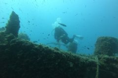 WhatsApp-Image-2023-08-17-at-20.16.01