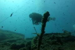 WhatsApp-Image-2023-08-17-at-20.16.02-1