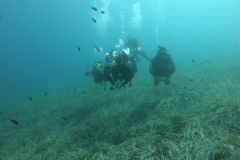 WhatsApp-Image-2023-08-17-at-20.16.02-2