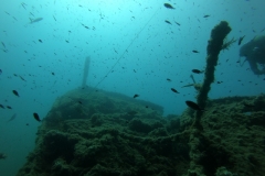 WhatsApp-Image-2023-08-17-at-20.16.02