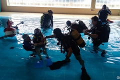 277811668_382610577208713_1775486237568827824_n