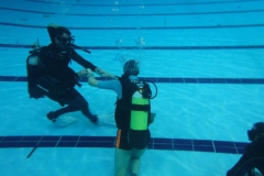 WhatsApp-Image-2022-04-10-at-6.14.18-PM-7