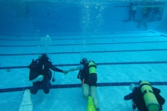 WhatsApp-Image-2022-04-10-at-6.14.19-PM