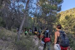 PXL_20250713_070217608