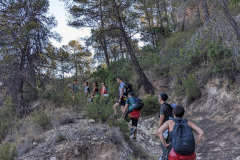 PXL_20250713_070414400