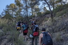 PXL_20250713_070458596.MP_