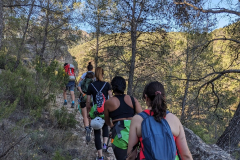 PXL_20250713_070634528