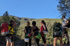 PXL_20250713_070751378.MP_