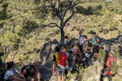 PXL_20250713_070804089