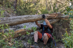 PXL_20250713_075007979