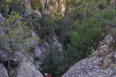 PXL_20250713_075925811