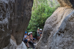 PXL_20250713_083159364