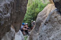 PXL_20250713_083209077