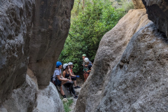 PXL_20250713_083211717