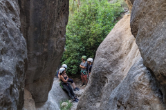 PXL_20250713_083307629