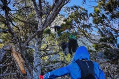 Screenshot_20210103_175450