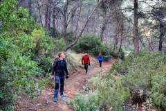 Screenshot_20210103_181857