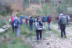 Fuente Arraigadas Bosque de Robles