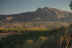Los Ruices 05-10-2025