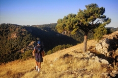 Screenshot_20200914_181636