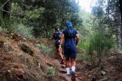 Screenshot_20200914_183203