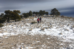 Revolcadores 11-02-2024