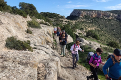 Imagen-de-WhatsApp-2024-11-17-a-las-13.53.15_e90e989a