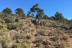 Ruta fin de año a la cima del Carche 17-12-2023