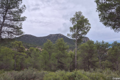 Ruta por el Carche 24-10-27 