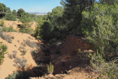 Senderismo en la Pedrera 28-01-2024