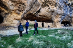 Screenshot_20201216_190316