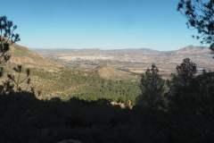 photo_10_2024-12-17_20-10-24