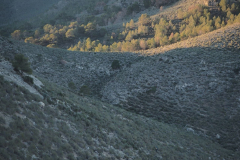 photo_1_2024-12-17_20-10-24