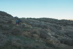 photo_20_2024-12-17_20-10-24