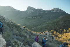 photo_21_2024-12-17_20-10-24