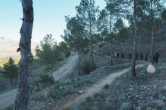 photo_23_2024-12-17_20-10-24