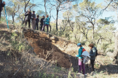 photo_27_2024-12-17_20-10-24