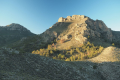 photo_29_2024-12-17_20-10-24