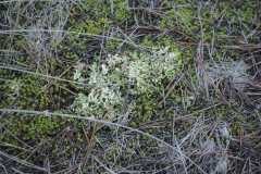 photo_30_2024-12-17_20-10-24