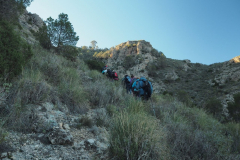 photo_31_2024-12-17_20-10-24