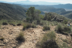 photo_32_2024-12-17_20-10-24