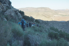 photo_33_2024-12-17_20-10-24