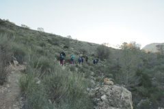 photo_3_2024-12-17_20-10-24