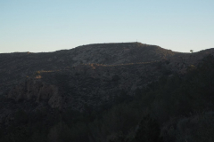 photo_5_2024-12-17_20-10-24