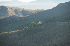 photo_6_2024-12-17_20-10-24