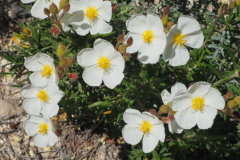 photo_11_2025-04-27_18-38-00